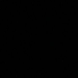 Meet your Posher, Rocio